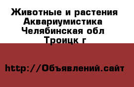 Животные и растения Аквариумистика. Челябинская обл.,Троицк г.